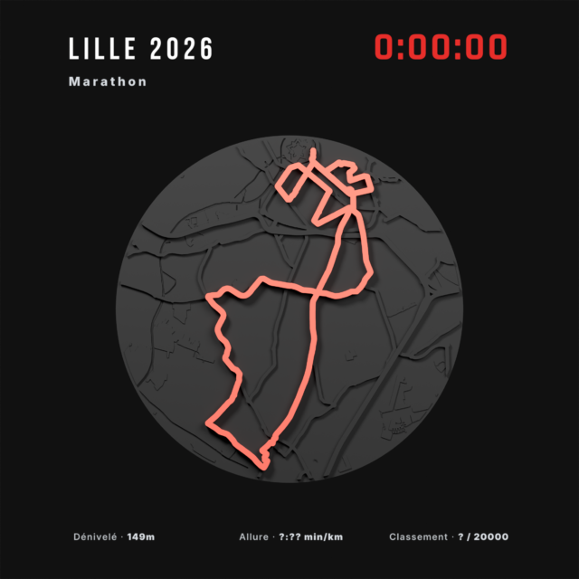 Marathon de Lille — vue 8