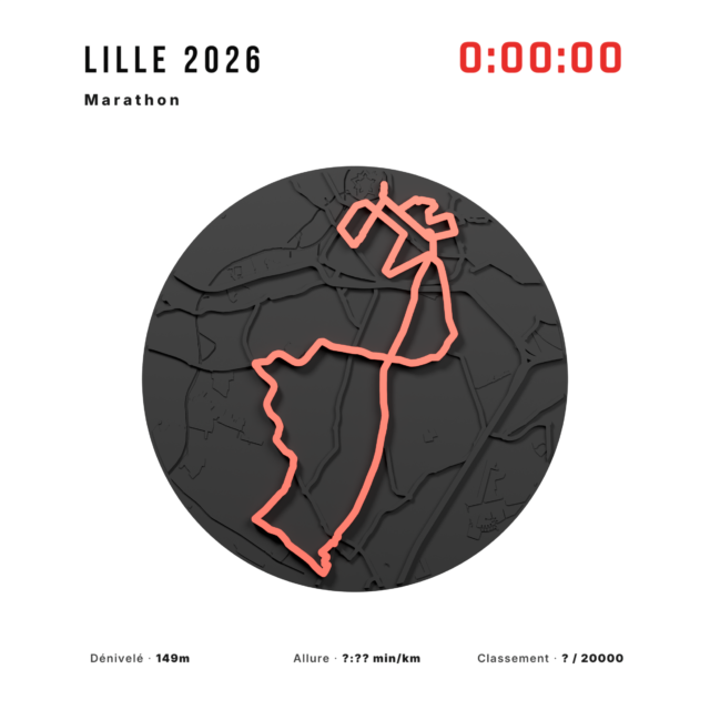 Marathon de Lille — vue 7
