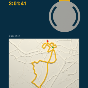 Marathon de Lille
