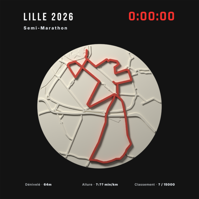 Marathon de Lille — vue 6