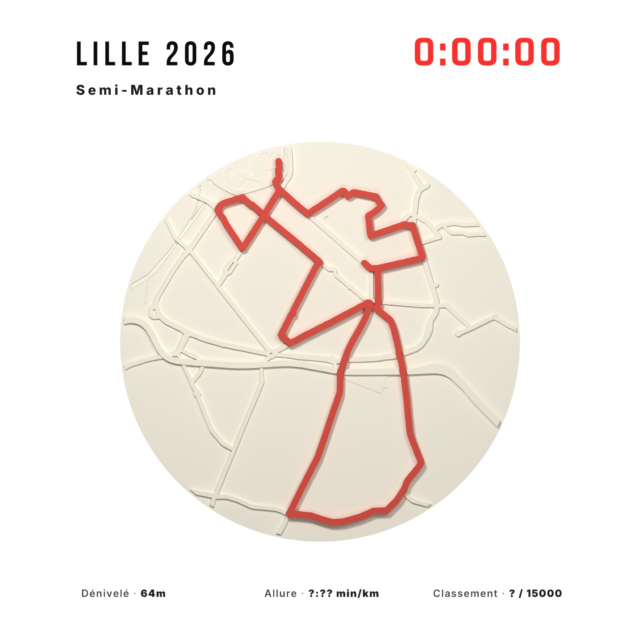 Marathon de Lille — vue 5